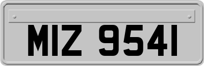 MIZ9541