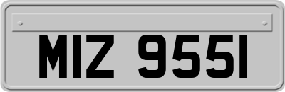 MIZ9551