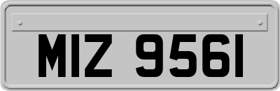 MIZ9561