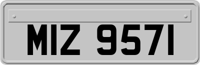 MIZ9571