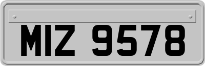 MIZ9578