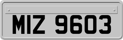 MIZ9603