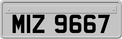 MIZ9667