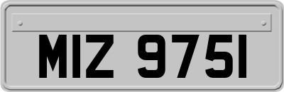 MIZ9751