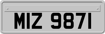 MIZ9871