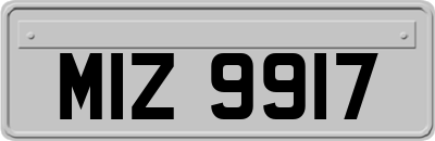 MIZ9917