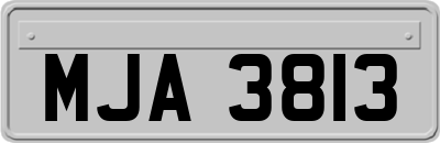 MJA3813
