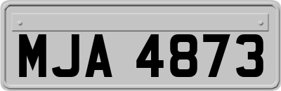 MJA4873