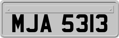 MJA5313