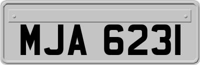 MJA6231