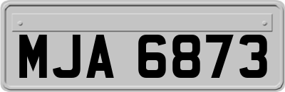 MJA6873