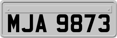 MJA9873