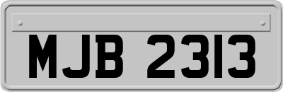 MJB2313