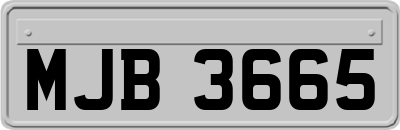 MJB3665