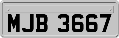 MJB3667