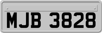 MJB3828