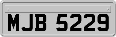 MJB5229