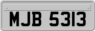 MJB5313