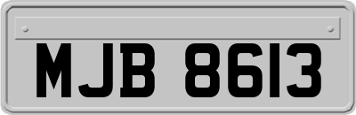MJB8613