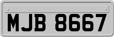 MJB8667