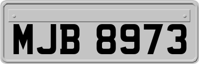 MJB8973