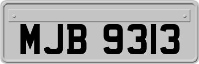 MJB9313