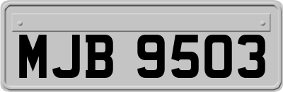 MJB9503