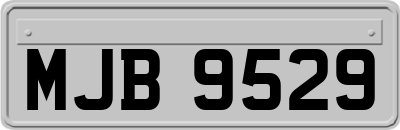 MJB9529