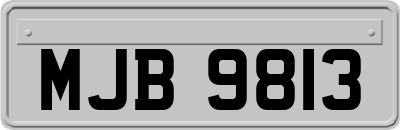 MJB9813
