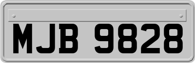 MJB9828
