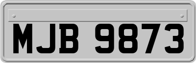 MJB9873
