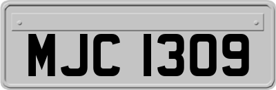 MJC1309