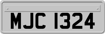 MJC1324