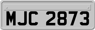 MJC2873