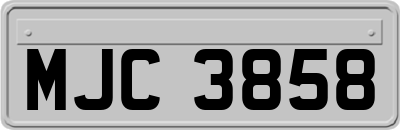 MJC3858