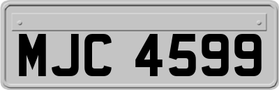 MJC4599