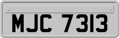 MJC7313