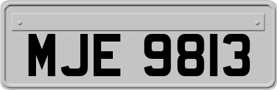 MJE9813