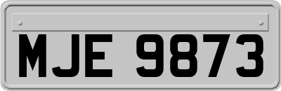 MJE9873