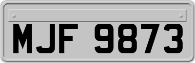 MJF9873
