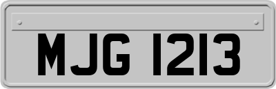 MJG1213