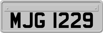 MJG1229