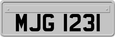 MJG1231