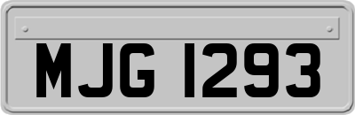 MJG1293