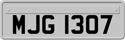 MJG1307