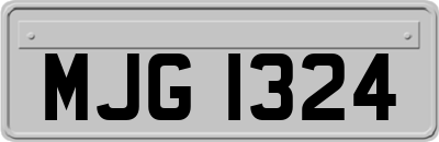 MJG1324
