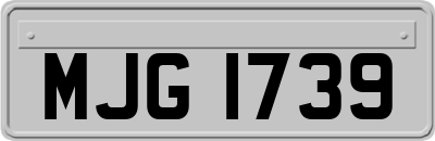 MJG1739