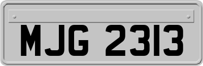 MJG2313