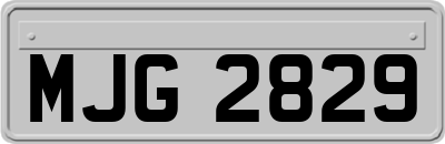 MJG2829