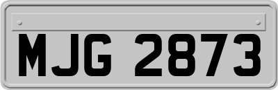 MJG2873
